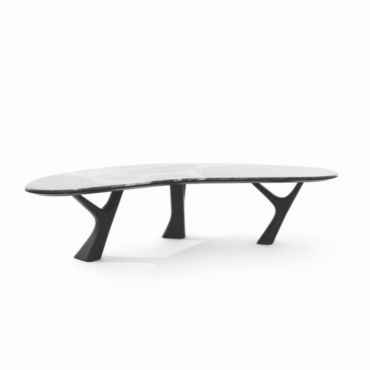 Mesa Asa-Delta